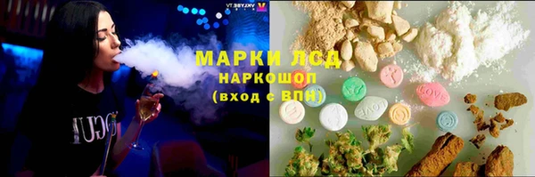 ПСИЛОЦИБИНОВЫЕ ГРИБЫ Касимов