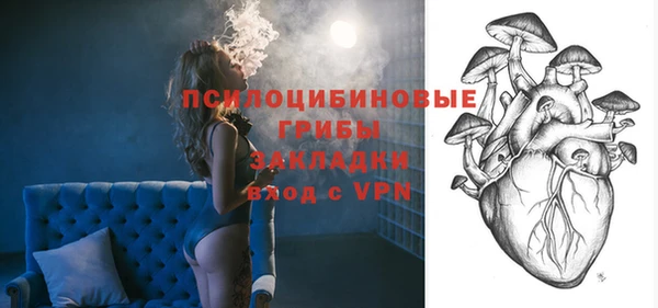 ALPHA PVP Кинешма