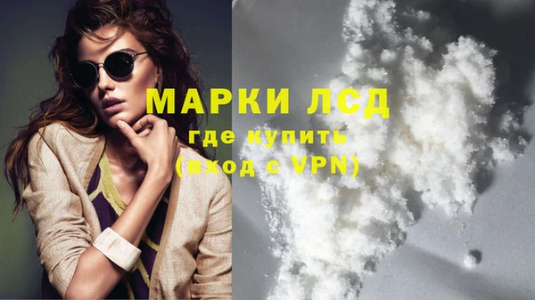 ПСИЛОЦИБИНОВЫЕ ГРИБЫ Касимов
